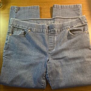 Gloria Vanderbilt Blue Jeggings Classic Style